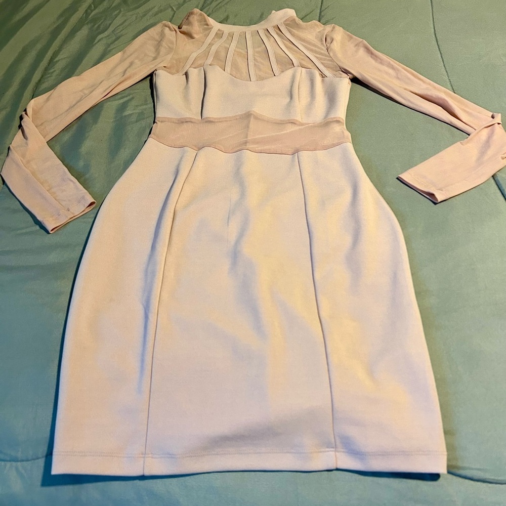 Elegant Mesh Cream Long Sleeve Dress